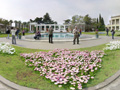 Panorama Nikinsky Botanical Garden